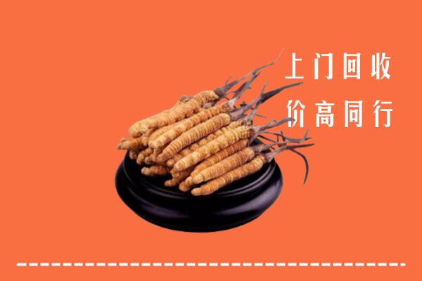 高价求购：中山小榄镇回收散虫草