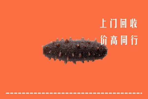 高价求购：中山小榄镇回收海参